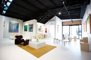 FORTIS CEILING MOUNTED Picture Rail System